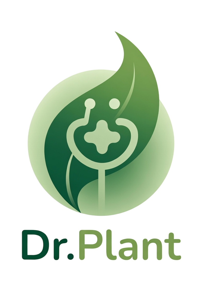 Dr. Plant